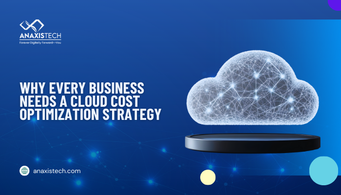 Why Every Business Needs a Cloud Cost Optimization Strategy